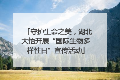 守护生命之美，湖北大悟开展“国际生物多样性日”宣传活动