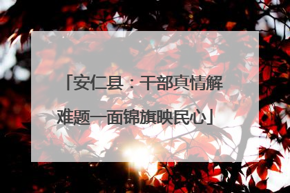 安仁县：干部真情解难题一面锦旗映民心