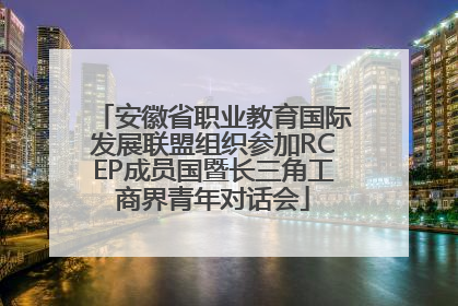 安徽省职业教育国际发展联盟组织参加RCEP成员国暨长三角工商界青年对话会