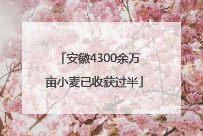 安徽4300余万亩小麦已收获过半