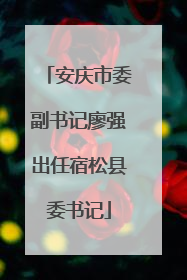 安庆市委副书记廖强出任宿松县委书记