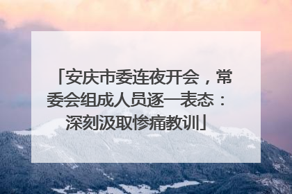 安庆市委连夜开会，常委会组成人员逐一表态：深刻汲取惨痛教训