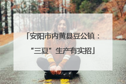 安阳市内黄县豆公镇：“三夏”生产有实招