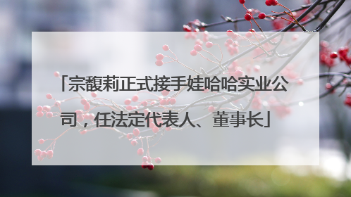 宗馥莉正式接手娃哈哈实业公司，任法定代表人、董事长