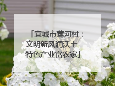 宜城市莺河村：文明新风润沃土 特色产业富农家