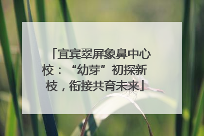 宜宾翠屏象鼻中心校：“幼芽”初探新枝，衔接共育未来