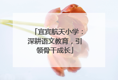 宜宾航天小学：深耕语文教育，引领骨干成长