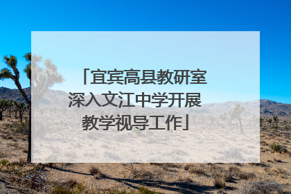 宜宾高县教研室深入文江中学开展教学视导工作