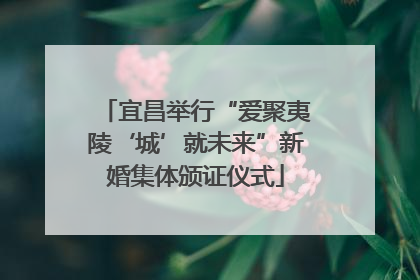 宜昌举行“爱聚夷陵‘城’就未来”新婚集体颁证仪式