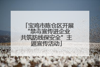 宝鸡市陈仓区开展“禁毒宣传进企业 共筑防线保安全”主题宣传活动