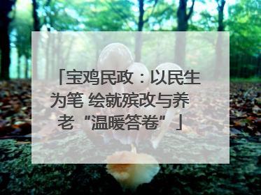 宝鸡民政：以民生为笔 绘就殡改与养老“温暖答卷”