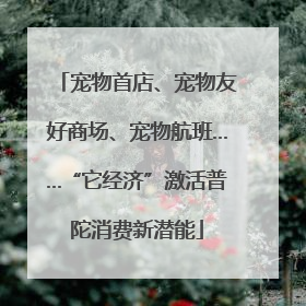 宠物首店、宠物友好商场、宠物航班……“它经济”激活普陀消费新潜能