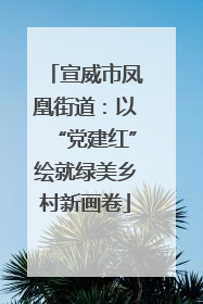 宣威市凤凰街道：以“党建红”绘就绿美乡村新画卷