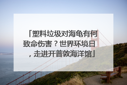 塑料垃圾对海龟有何致命伤害？世界环境日，走进开普敦海洋馆