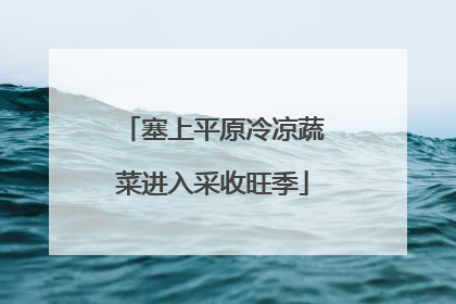 塞上平原冷凉蔬菜进入采收旺季