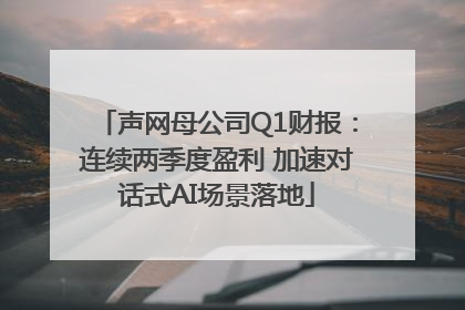 声网母公司Q1财报：连续两季度盈利 加速对话式AI场景落地