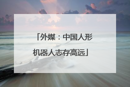 外媒：中国人形机器人志存高远