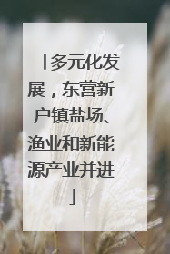 多元化发展，东营新户镇盐场、渔业和新能源产业并进