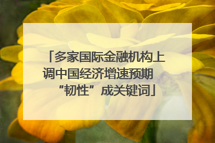 多家国际金融机构上调中国经济增速预期 “韧性”成关键词
