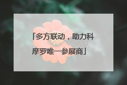 多方联动，助力科摩罗唯一参展商