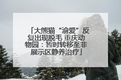 大熊猫“渝爱”反复出现脱毛 重庆动物园：暂时转移至非展示区静养治疗