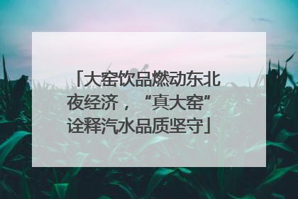 大窑饮品燃动东北夜经济，“真大窑”诠释汽水品质坚守