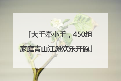 大手牵小手，450组家庭青山江滩欢乐开跑