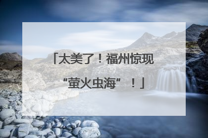 太美了！福州惊现“萤火虫海”！
