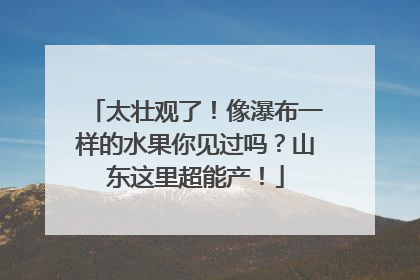 太壮观了！像瀑布一样的水果你见过吗？山东这里超能产！