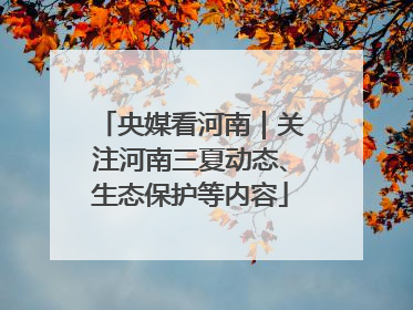 央媒看河南｜关注河南三夏动态、生态保护等内容