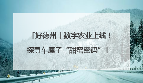 好德州丨数字农业上线！探寻车厘子“甜蜜密码”