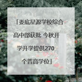 娄底星源学校综合高中部获批 今秋开学开学提供270 个普高学位