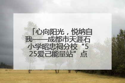 心向阳光，悦纳自我——成都市天涯石小学昭忠祠分校“525爱己能量站”点亮孩子心灵之旅