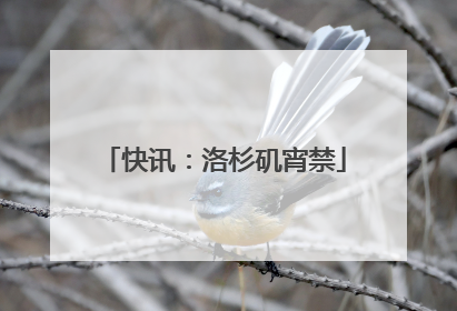 快讯：洛杉矶宵禁