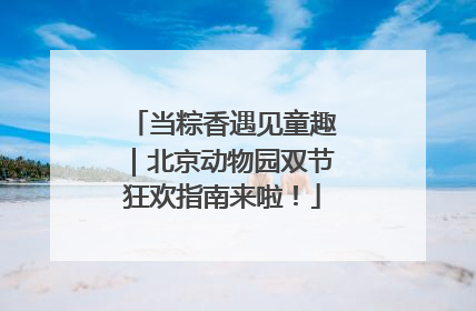 当粽香遇见童趣｜北京动物园双节狂欢指南来啦！