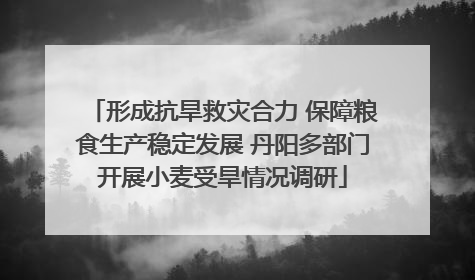 形成抗旱救灾合力 保障粮食生产稳定发展 丹阳多部门开展小麦受旱情况调研