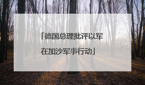 德国总理批评以军在加沙军事行动