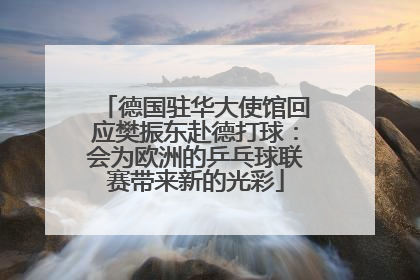 德国驻华大使馆回应樊振东赴德打球：会为欧洲的乒乓球联赛带来新的光彩