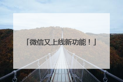 微信又上线新功能！