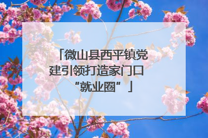 微山县西平镇党建引领打造家门口“就业圈”