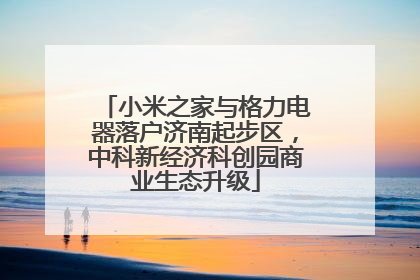 小米之家与格力电器落户济南起步区，中科新经济科创园商业生态升级