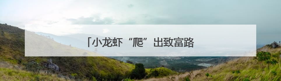 小龙虾“爬”出致富路 稻虾田“长”出金疙瘩