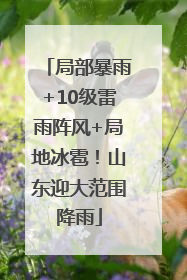 局部暴雨+10级雷雨阵风+局地冰雹！山东迎大范围降雨