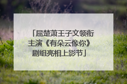 屈楚萧王子文领衔主演《有朵云像你》剧组亮相上影节