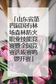 山东省第四届国有林场森林防火职业技能竞赛暨全国竞赛选拔赛鸣锣开赛
