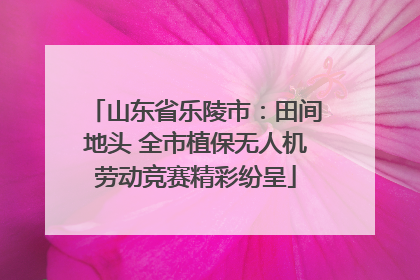 山东省乐陵市：田间地头 全市植保无人机劳动竞赛精彩纷呈