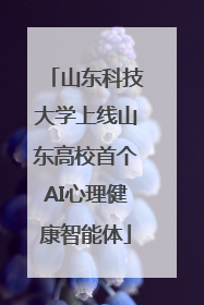 山东科技大学上线山东高校首个AI心理健康智能体