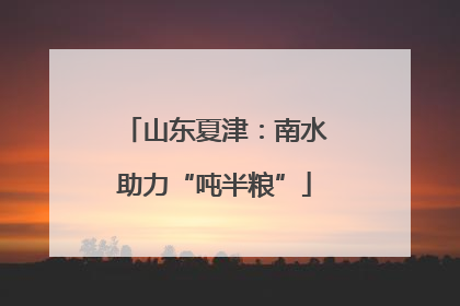 山东夏津：南水助力“吨半粮”