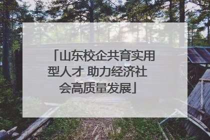 山东校企共育实用型人才 助力经济社会高质量发展