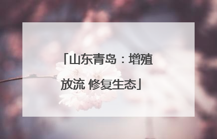 山东青岛：增殖放流 修复生态